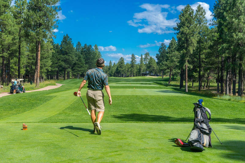 1780-G5F7-golfer-1960998_1280